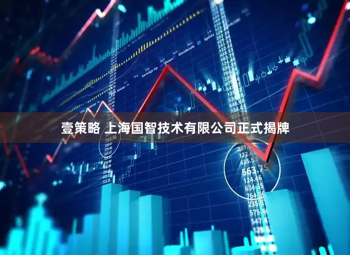 壹策略 上海国智技术有限公司正式揭牌