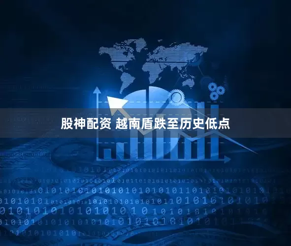 股神配资 越南盾跌至历史低点