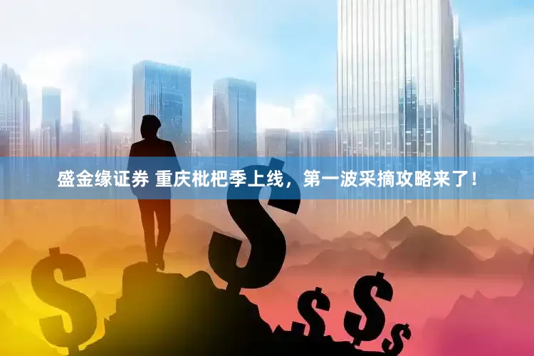 盛金缘证券 重庆枇杷季上线，第一波采摘攻略来了！