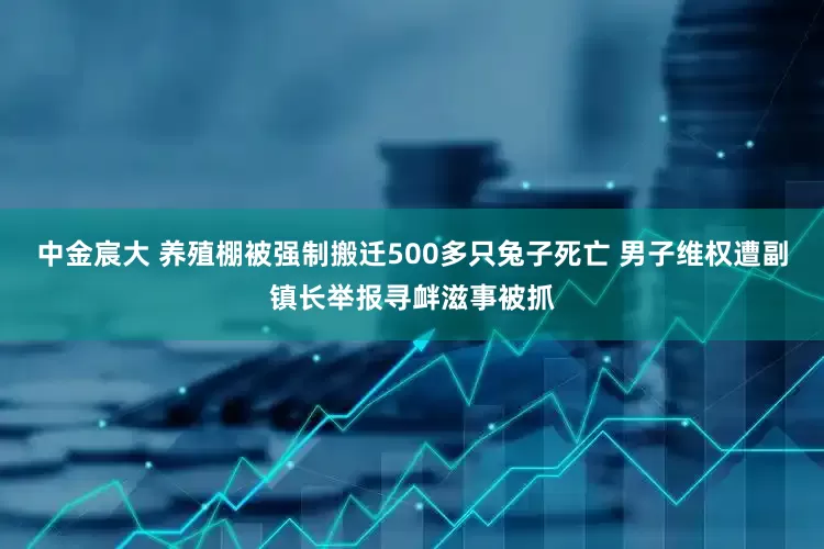 中金宸大 养殖棚被强制搬迁500多只兔子死亡 男子维权遭副镇长举报寻衅滋事被抓