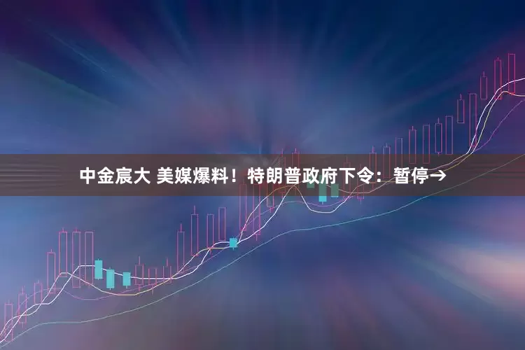 中金宸大 美媒爆料!特朗普政府下令:暂停→